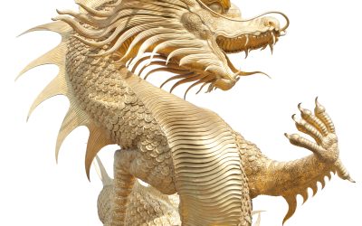 Drachen Qi Gong LIVE Semesterkurs