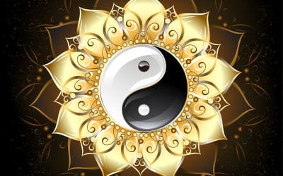 WEBINAR Stilles Qi Gong Wintersemester 2020