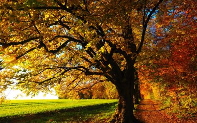 Wandertage Herbst 2020