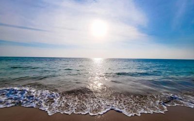 Stilles Qi Gong Einzelabende ONLINE